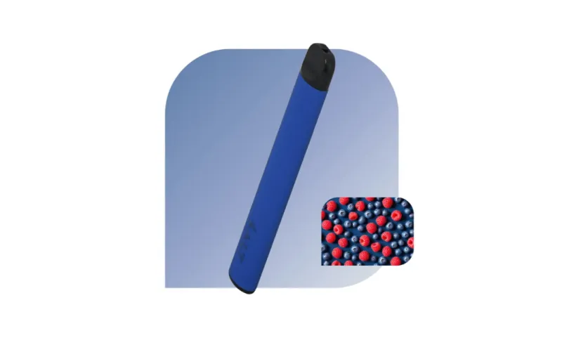 SALT Switch 900 Puffs - Blueberry Raspberry (20mg/ml)
